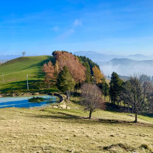 Colli di San Fermo